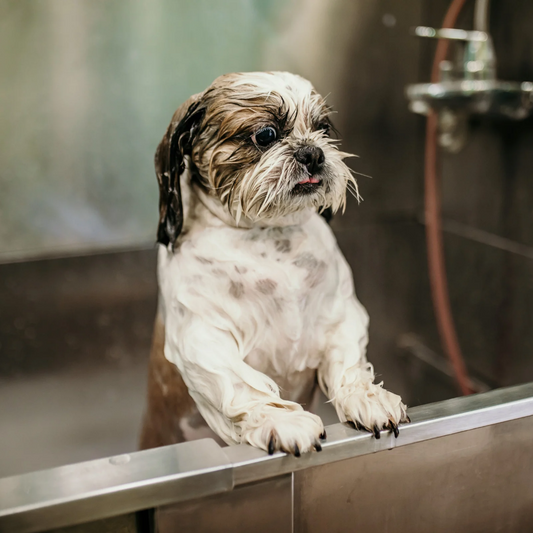 Luxury Bath