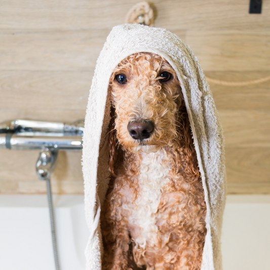De-shedding Treatment
